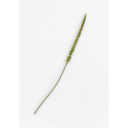 Coco Maison Donkey Tail kunstbloem H86cm